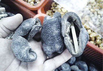 Con banh lông rớt giá thảm hại